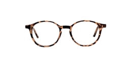 Clearly Glasses CARLYLE