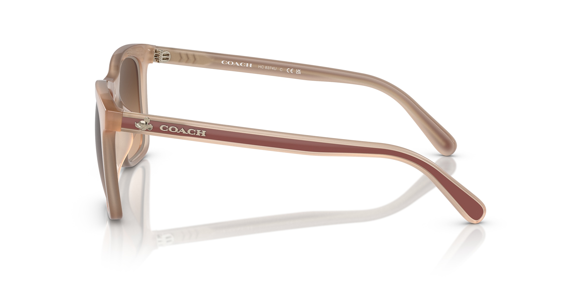 Coach Sunglasses HC8374U CH561
