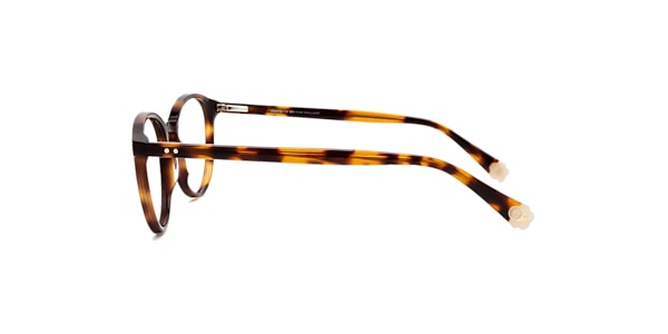 Clearly Glasses PINE