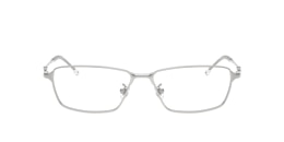 Diesel Glasses DL5008D