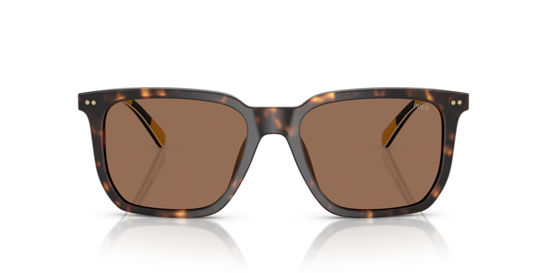 Polo Ralph Lauren PH4224U Shiny Dark Havana, Size: L