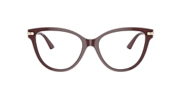 Jimmy Choo Glasses JC3001B