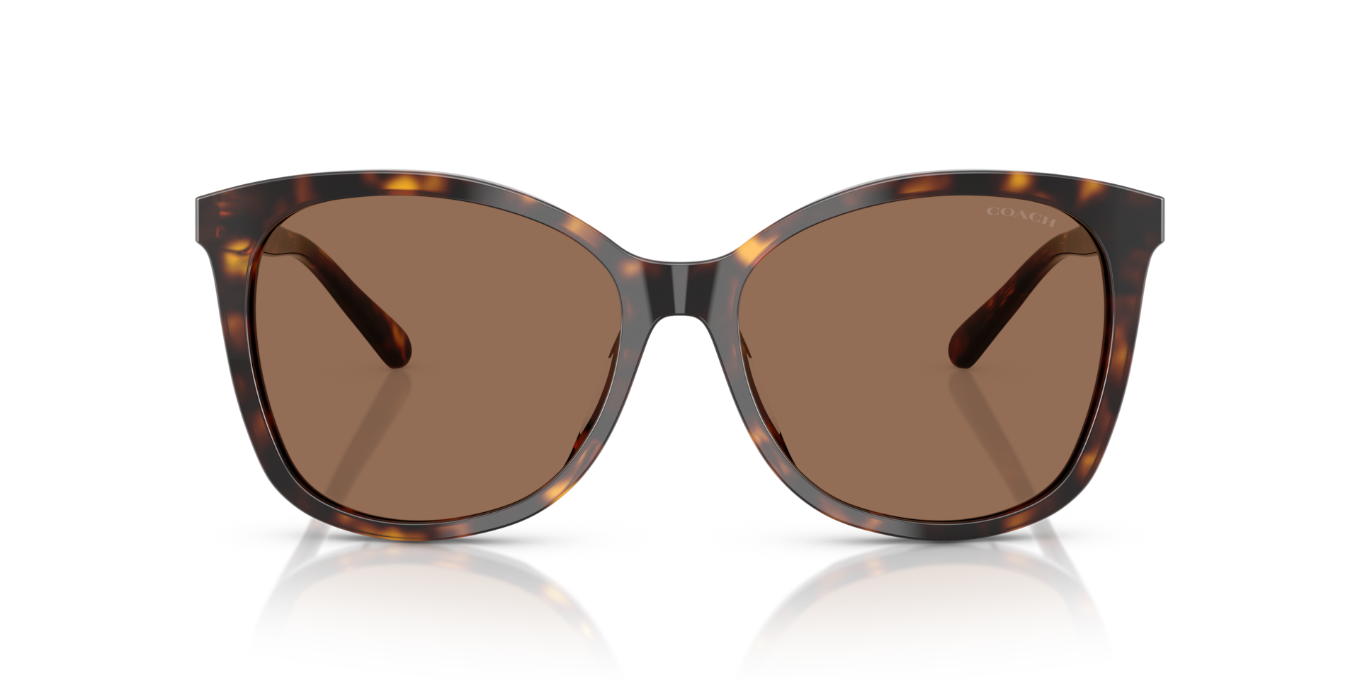 Coach HC8271U L1101 Dark Tortoise, Size: M