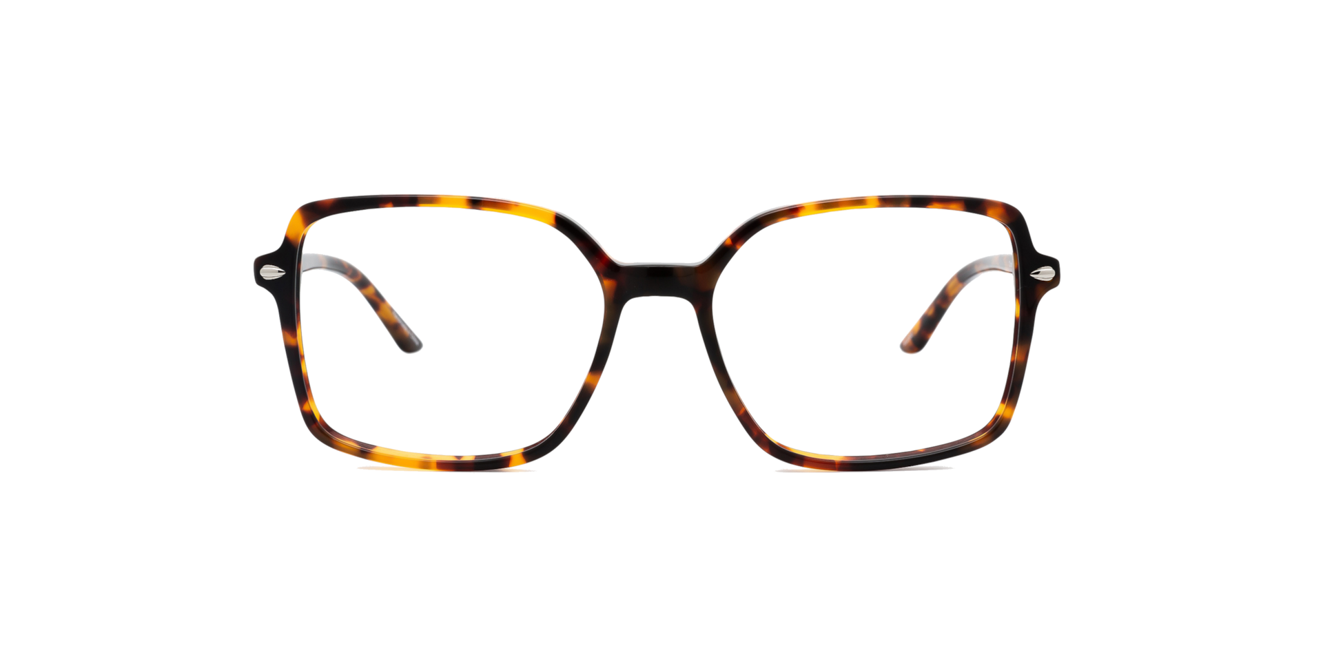 Clearly CHARLOTTE Havana, Size: S