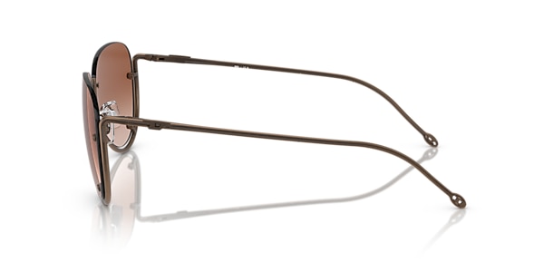 Diesel Sunglasses DL1003