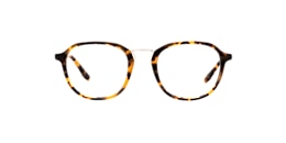 Clearly Glasses FISHER