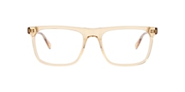 Clearly Glasses DARCY
