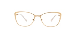 Clearly Glasses EUANTHE