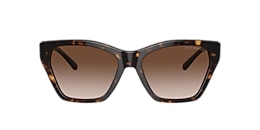 Emporio Armani Sunglasses EA4203U