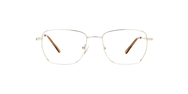 Clearly Glasses MCADAM