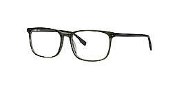 Clearly Glasses FOXTAIL