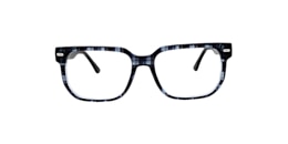Clearly Glasses ISONOE