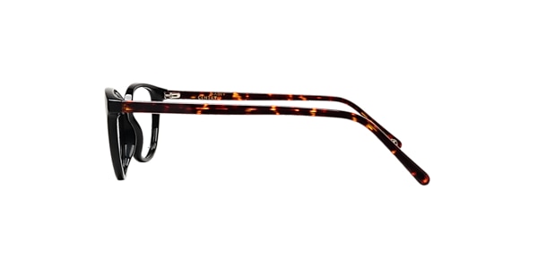 Clearly Glasses QUEENSLAND