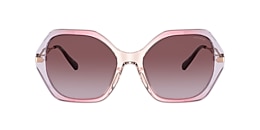 Coach Sunglasses HC8315 C3445