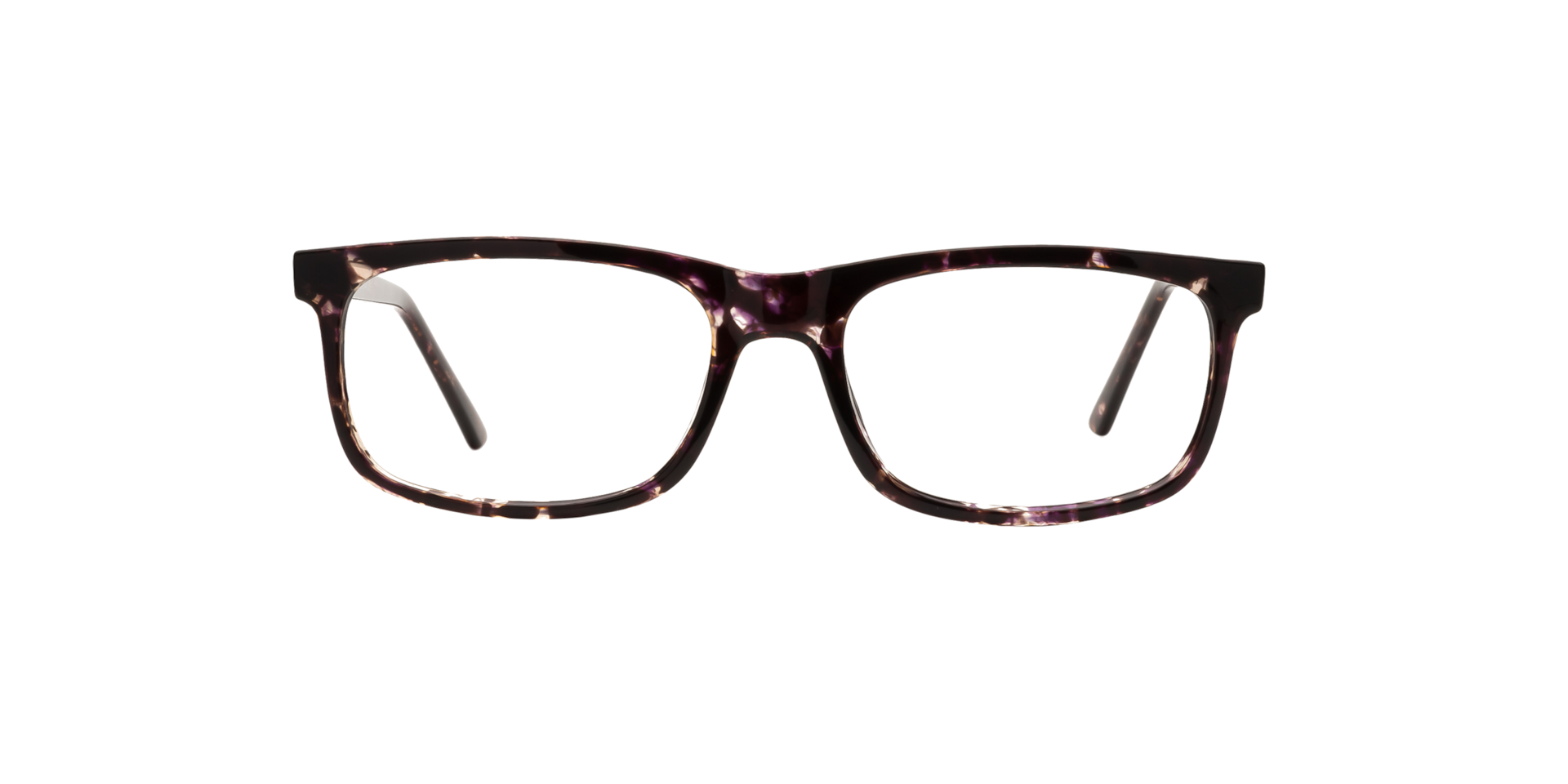 Clearly MOOSE JAW Purple Tortoise, Size: