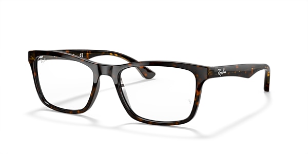 RB5279 OPTICS