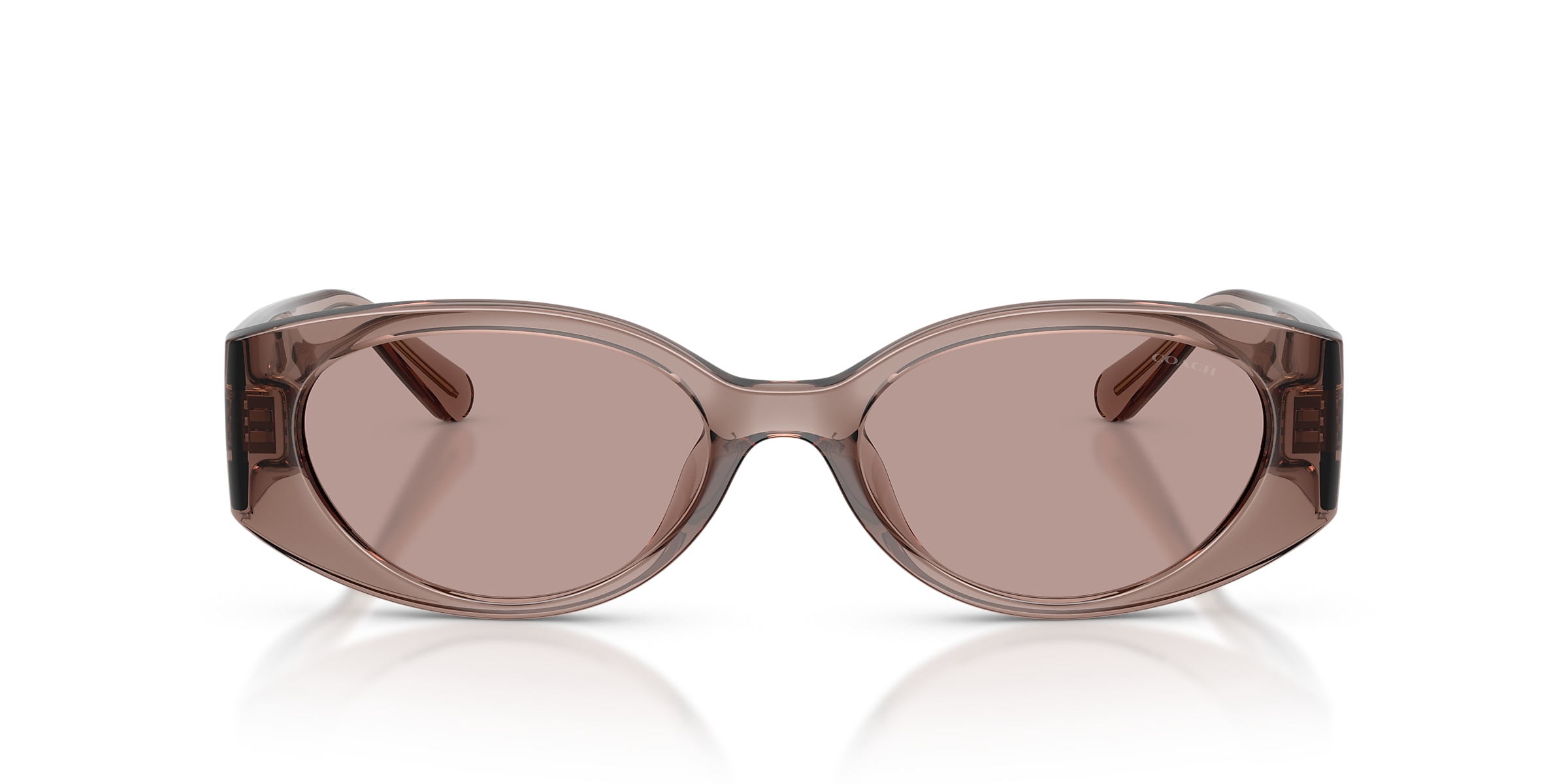 Coach Sunglasses HC8462U CFU06