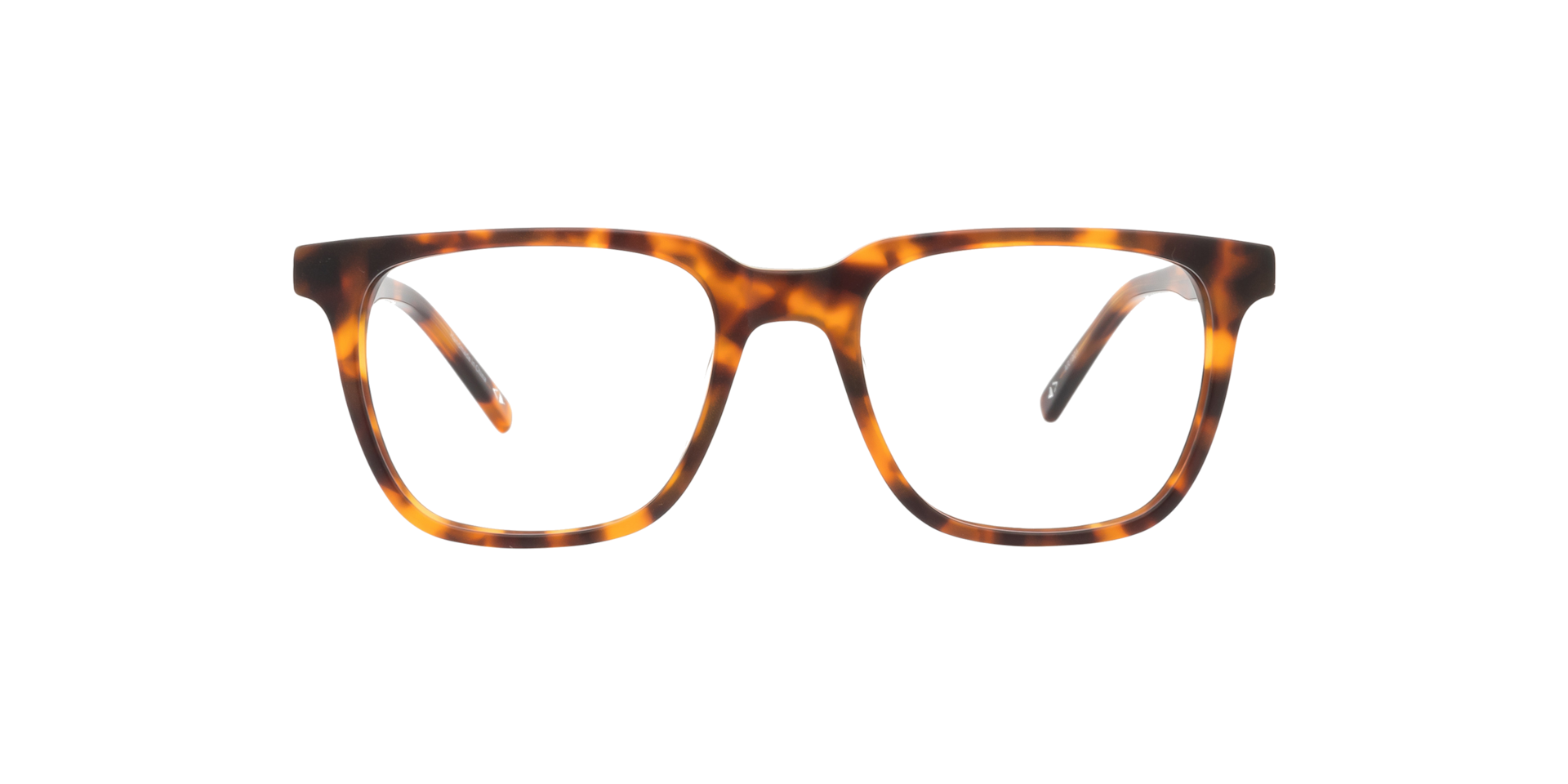 Clearly BRAY Matt Havana, Size: XS
