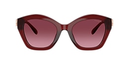 Coach Sunglasses HC8421U CAD31
