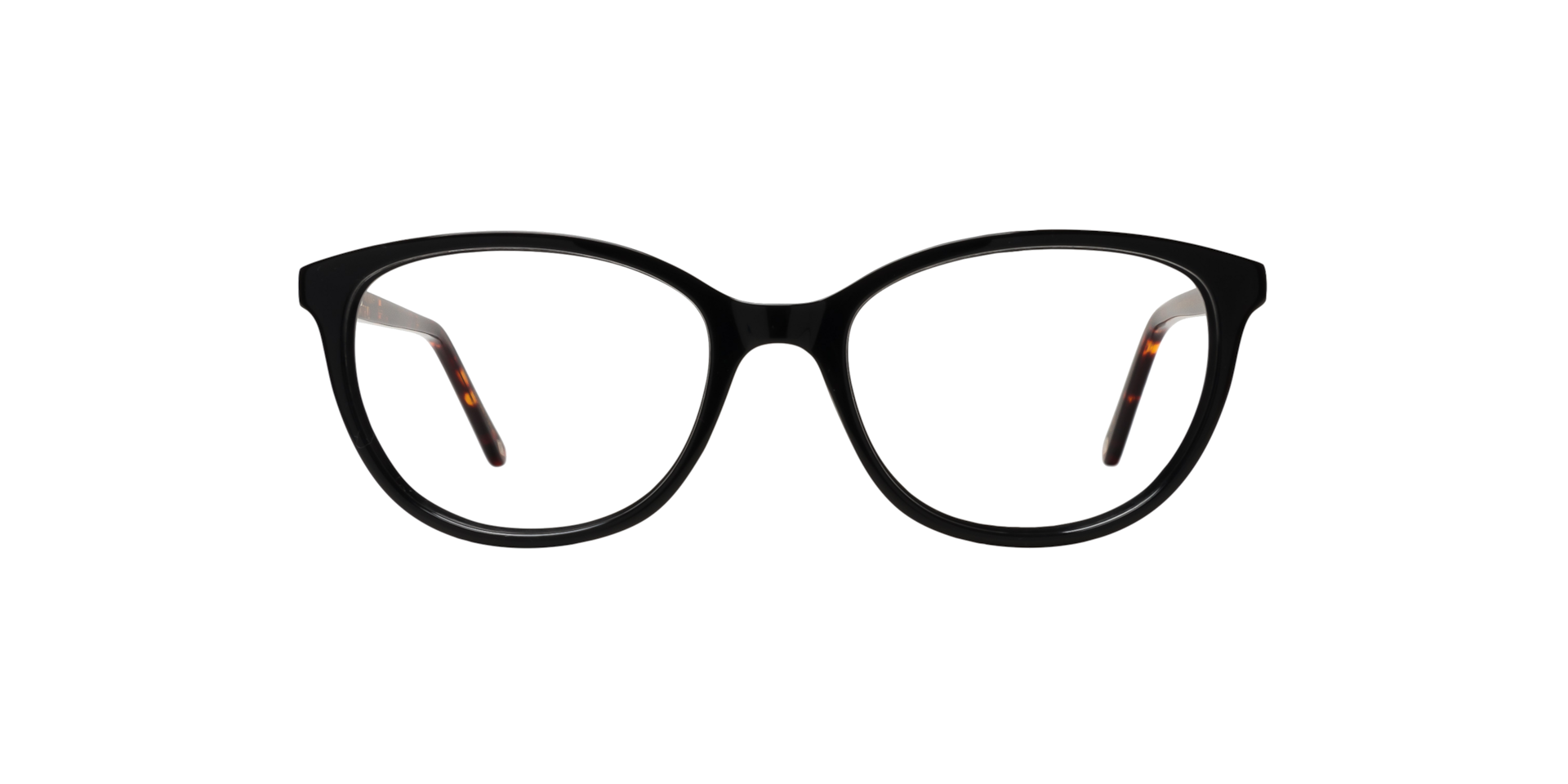 Clearly QUEENSLAND Black Tortoise, Size: