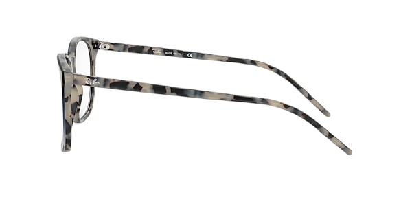 RB5387 OPTICS