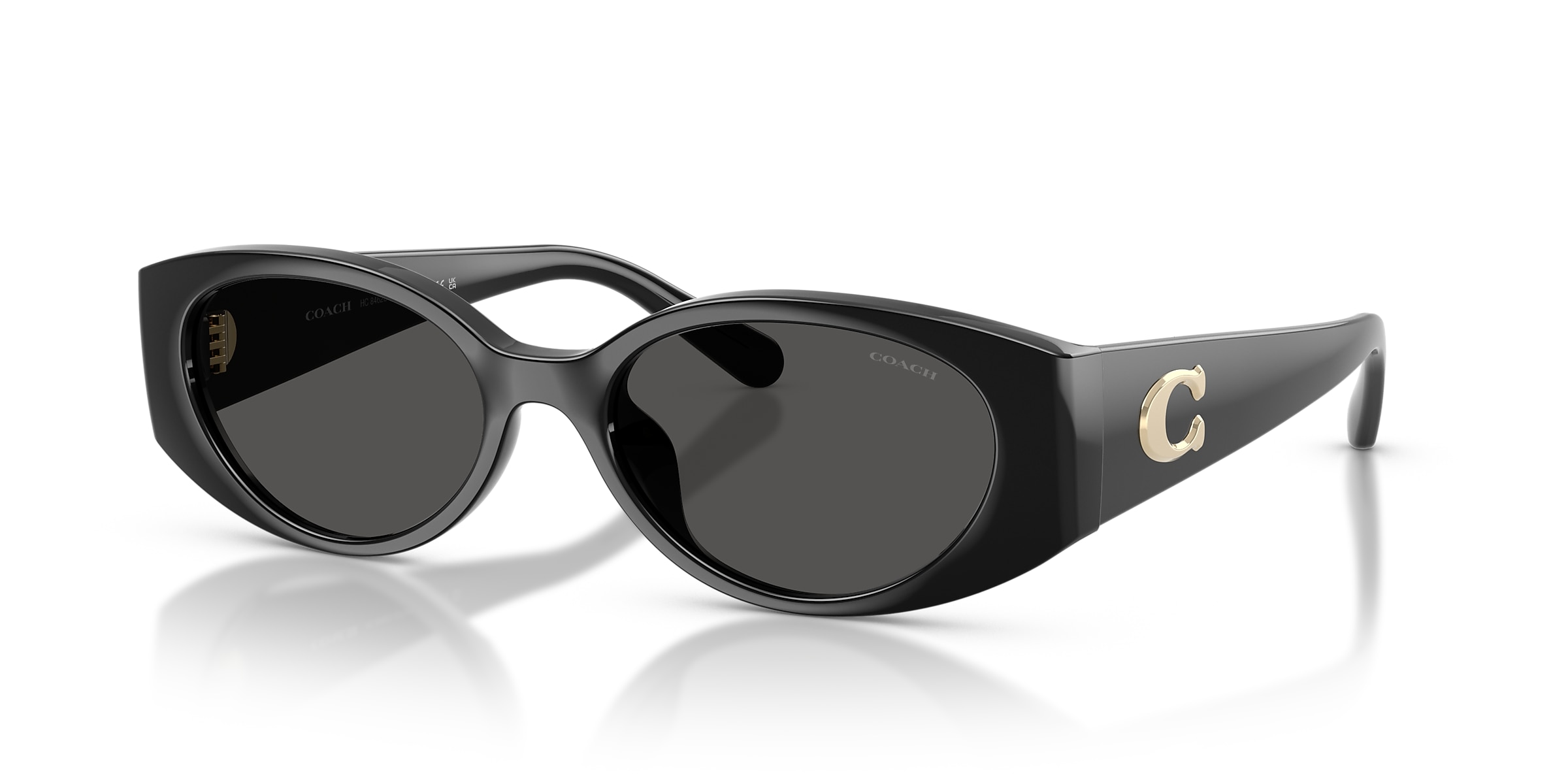 Coach Sunglasses HC8462U CFU06