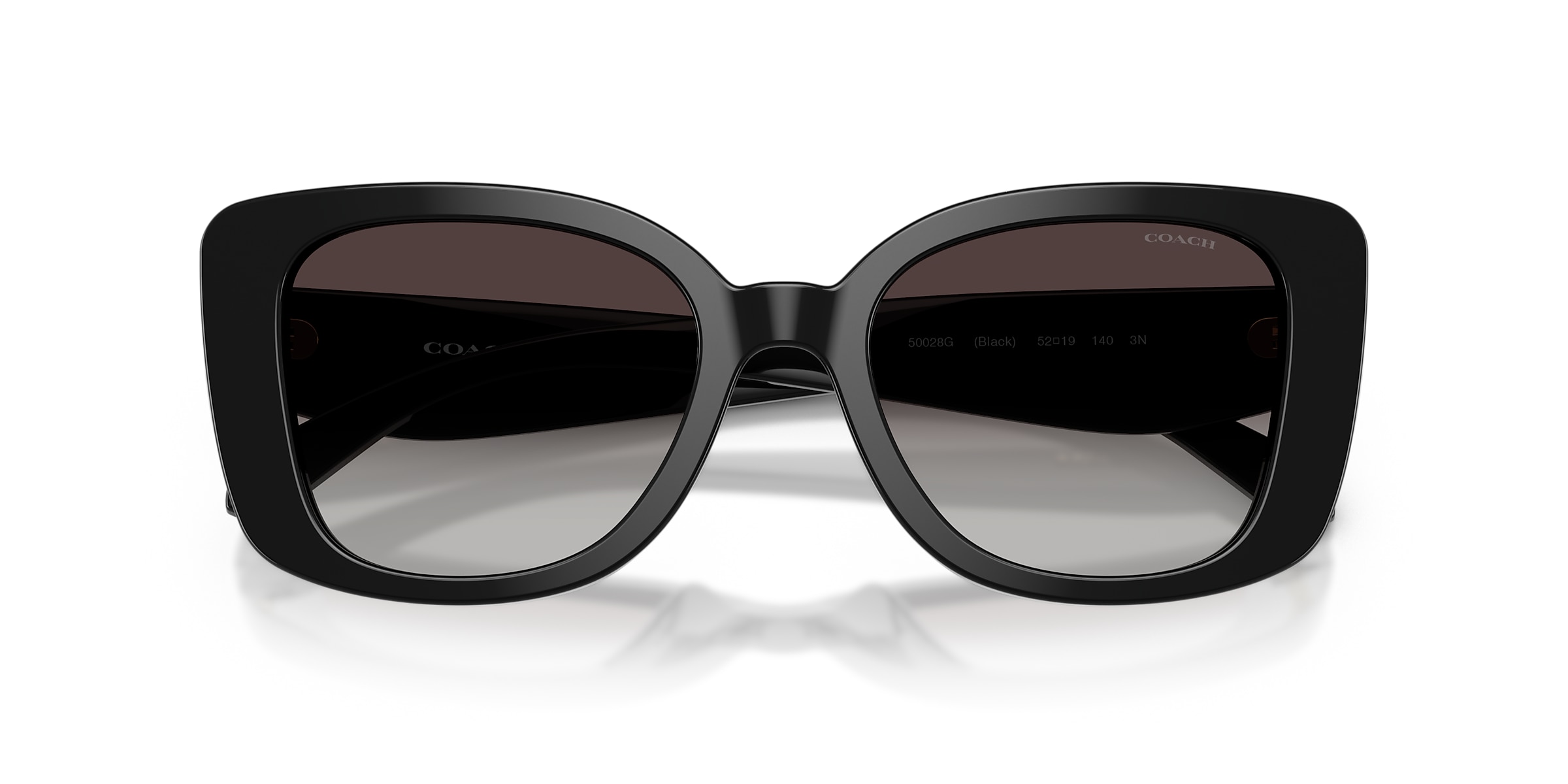 Coach Sunglasses HC8450U CDP48