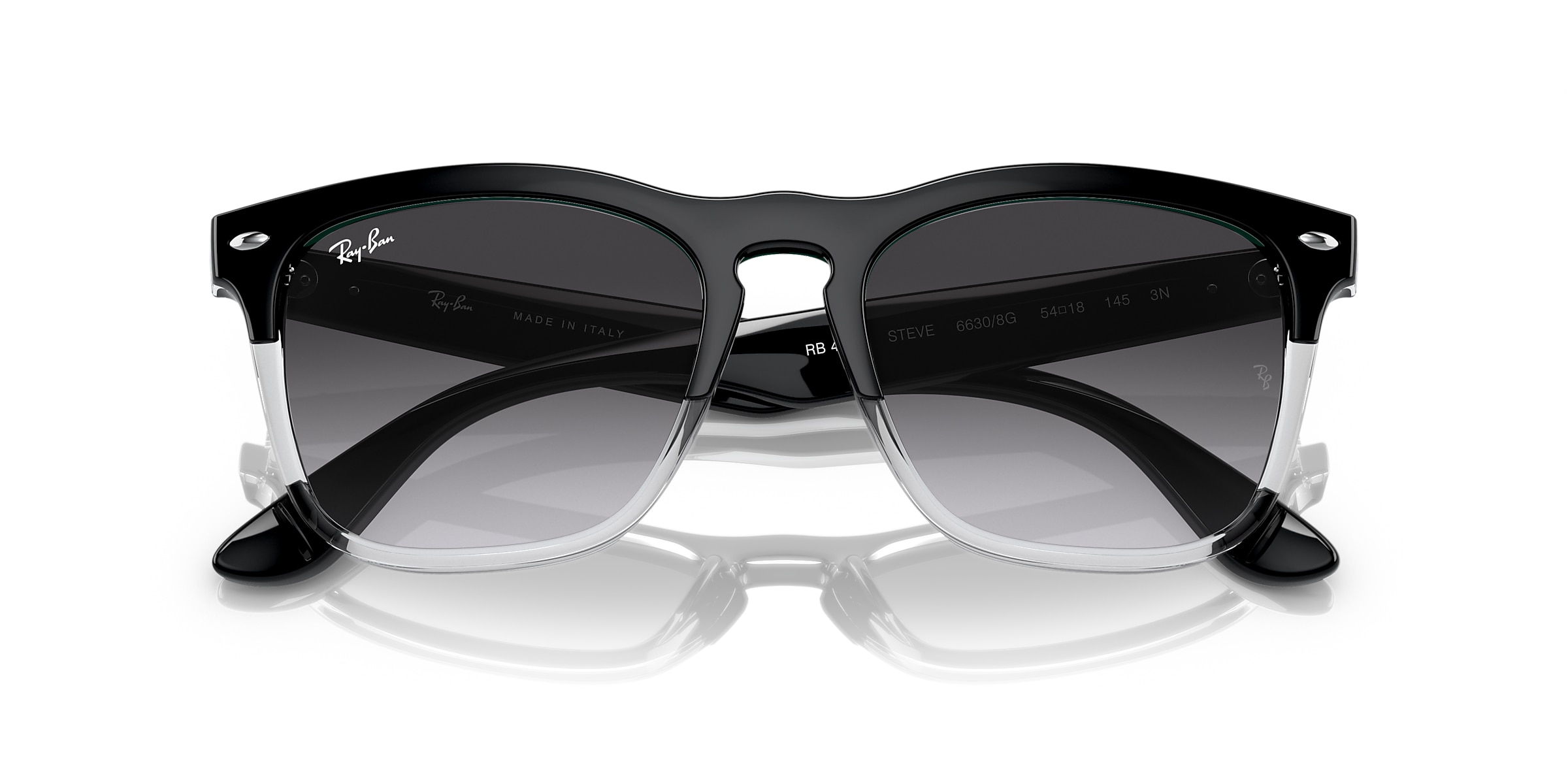 Ray-Ban Sunglasses RB4487 STEVE