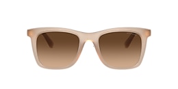 Coach Sunglasses HC8374U CH561