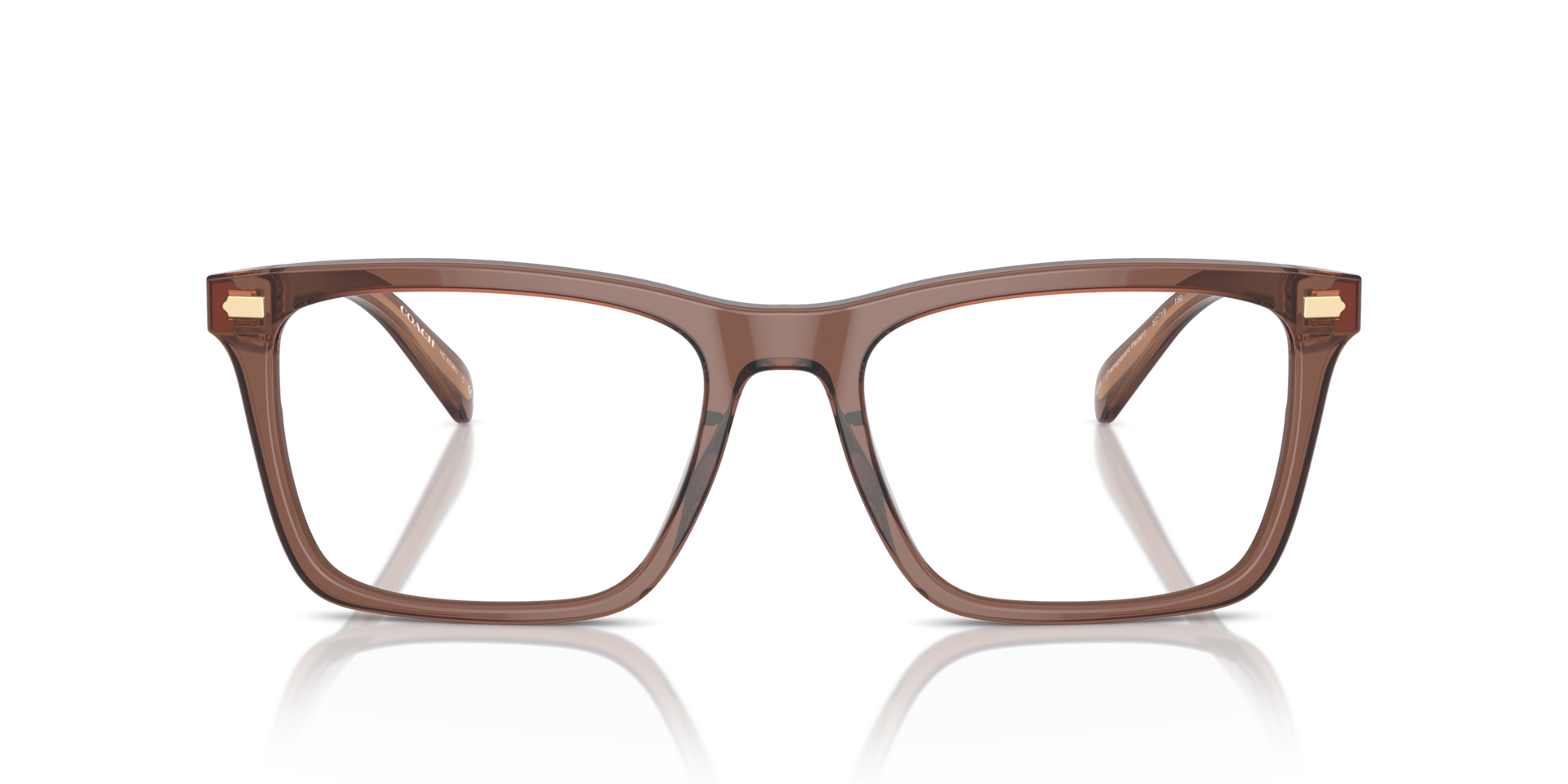 Coach HC6238U Transparent Pecan, Size: L