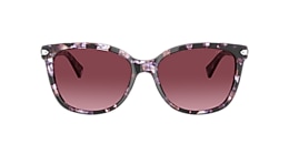 Coach Sunglasses HC8132 L109
