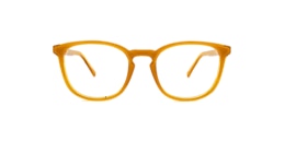 Clearly Glasses MONARCH