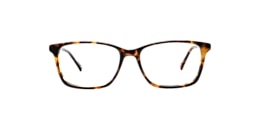 Clearly Glasses AQUILA