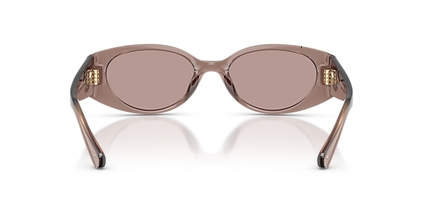 Coach Sunglasses HC8462U CFU06