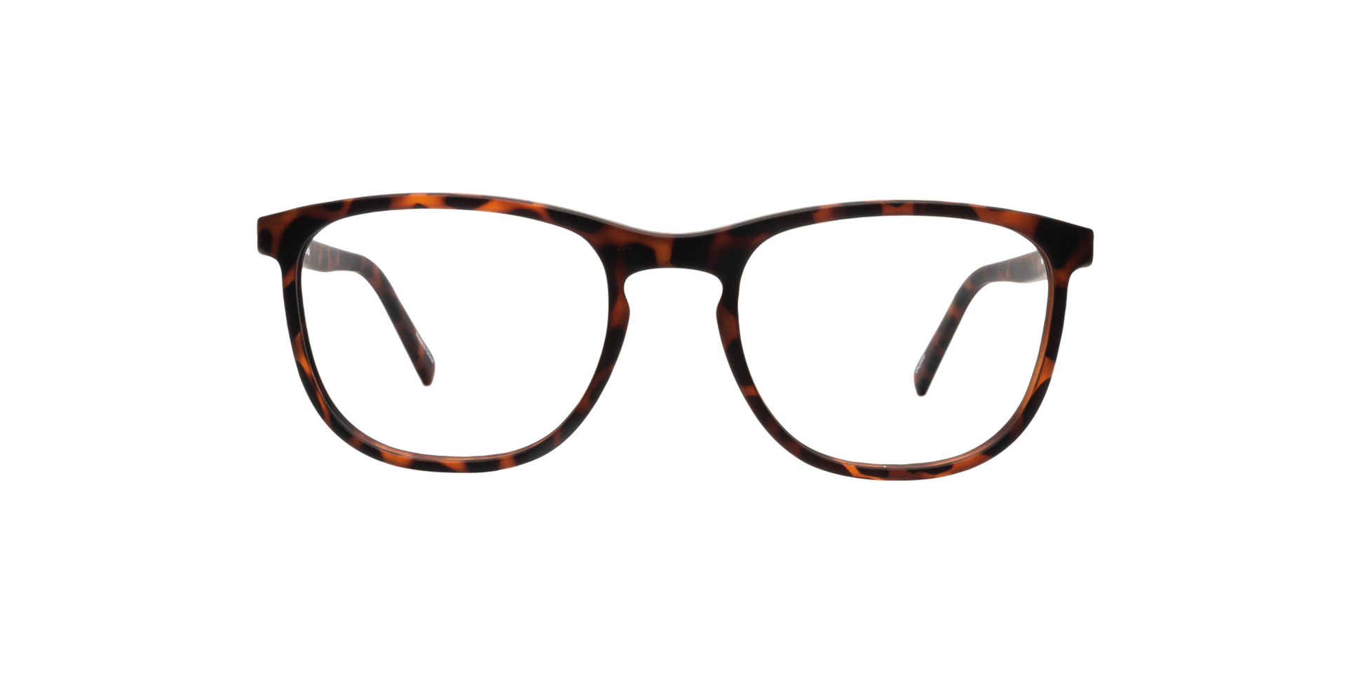 Clearly MAGPIE Tortoise, Size: S