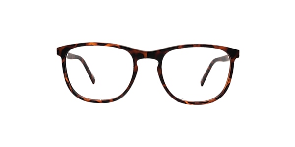 Clearly Glasses MAGPIE