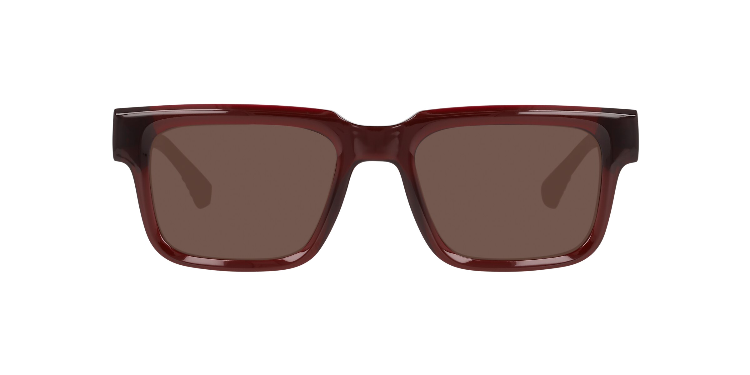 Clearly Sunglasses PALM TREE