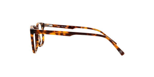 Clearly Glasses TARVOS