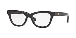 Gucci Glasses GG1983O