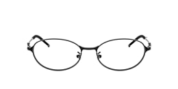 Diesel Glasses DL5004D