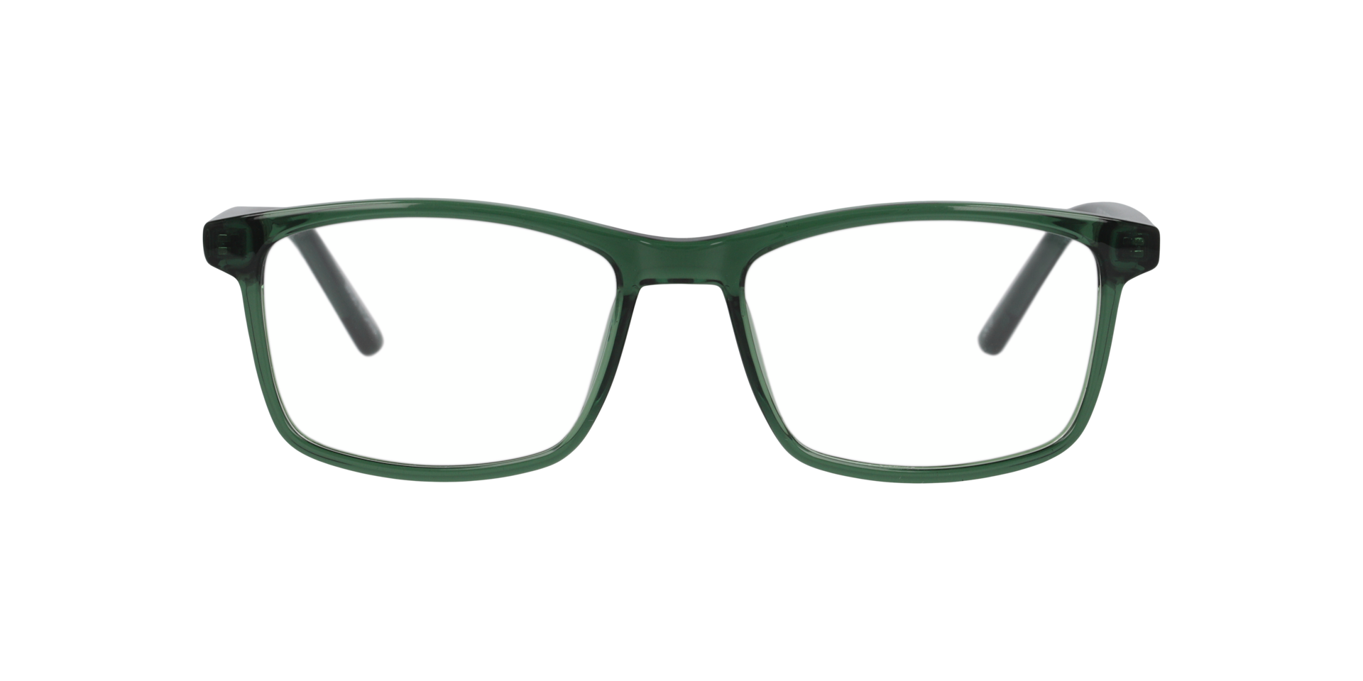 Clearly POLAR BEAR Translucent Dark Green, Size: S