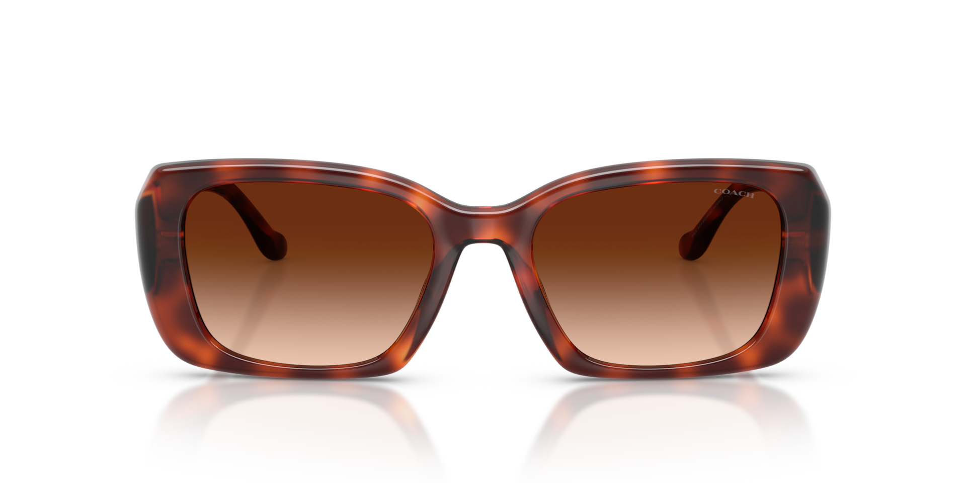 Coach HC8435U CBY82 Caramel Tortoise, Size: M
