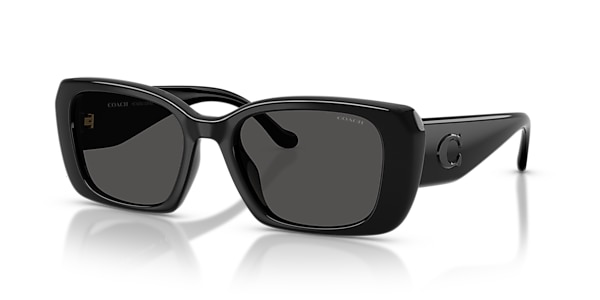 Coach Sunglasses HC8435U CBY82