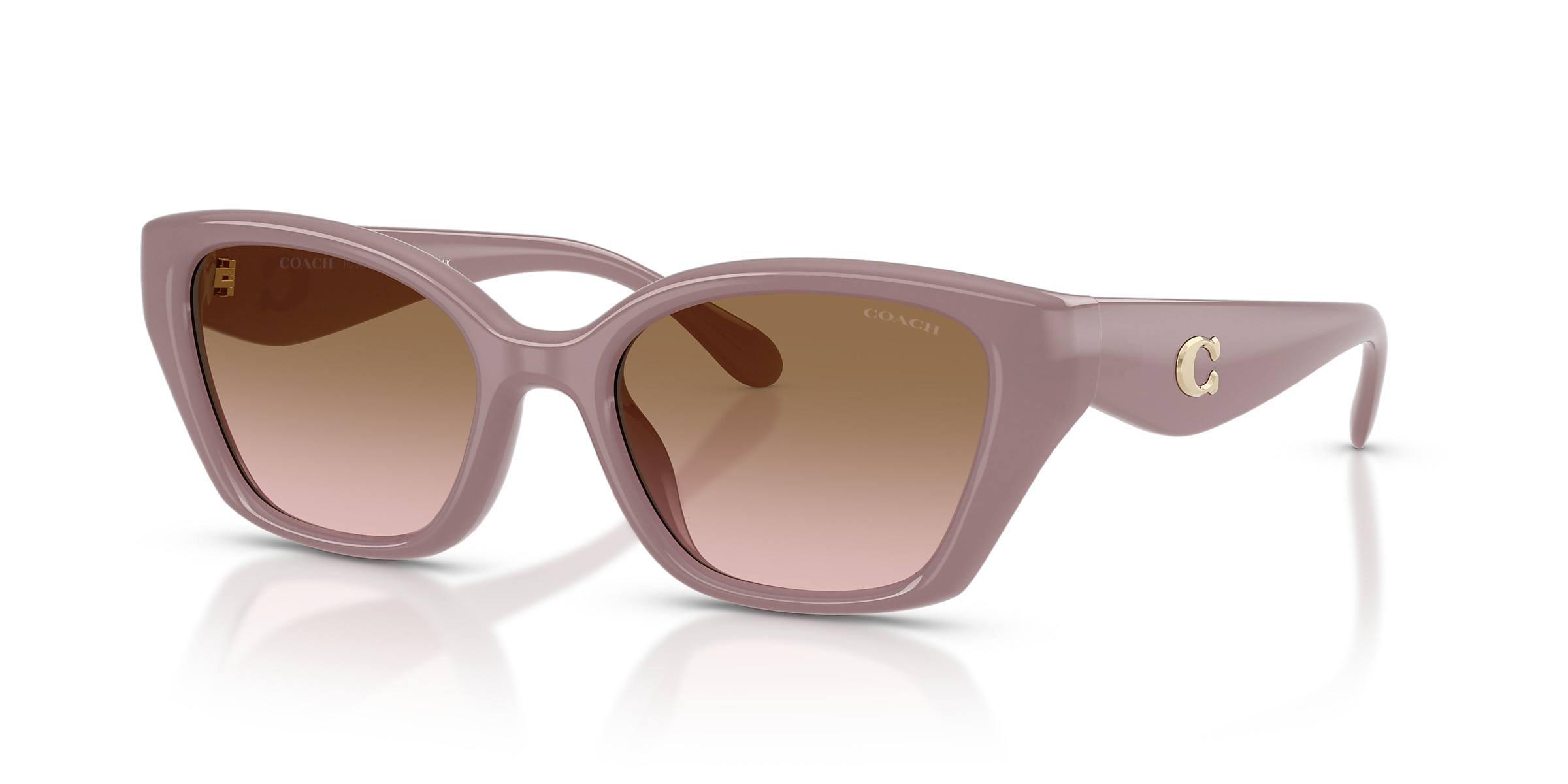 Coach Sunglasses HC8434U CBY91