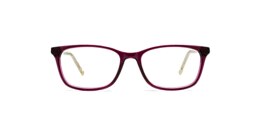 Clearly Glasses ADELAIDE