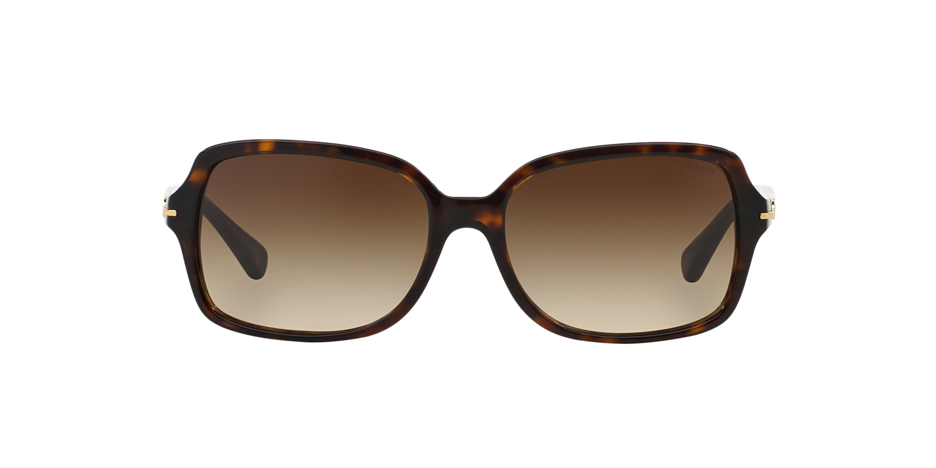 Coach HC8116 L087 BLAIR Dark Tortoise, Size: S