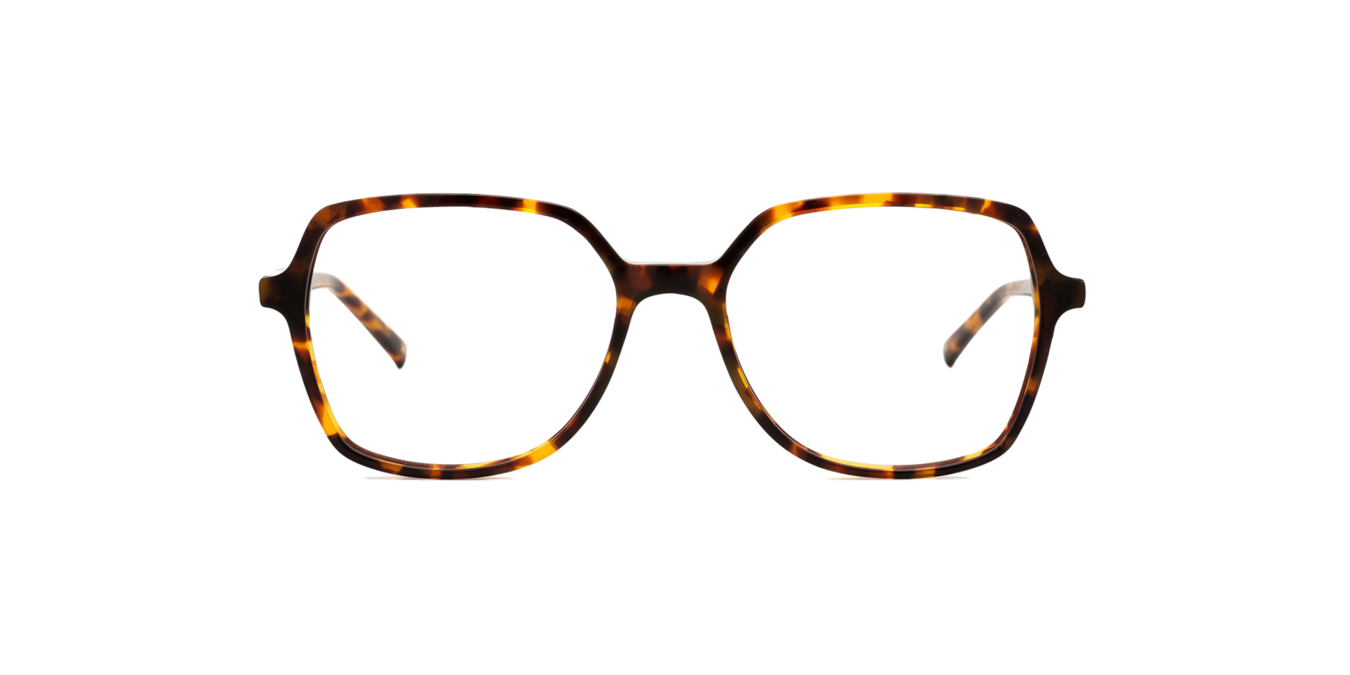 Clearly CYLLENE Havana, Size: M