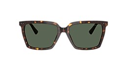 Jimmy Choo Sunglasses JC5051