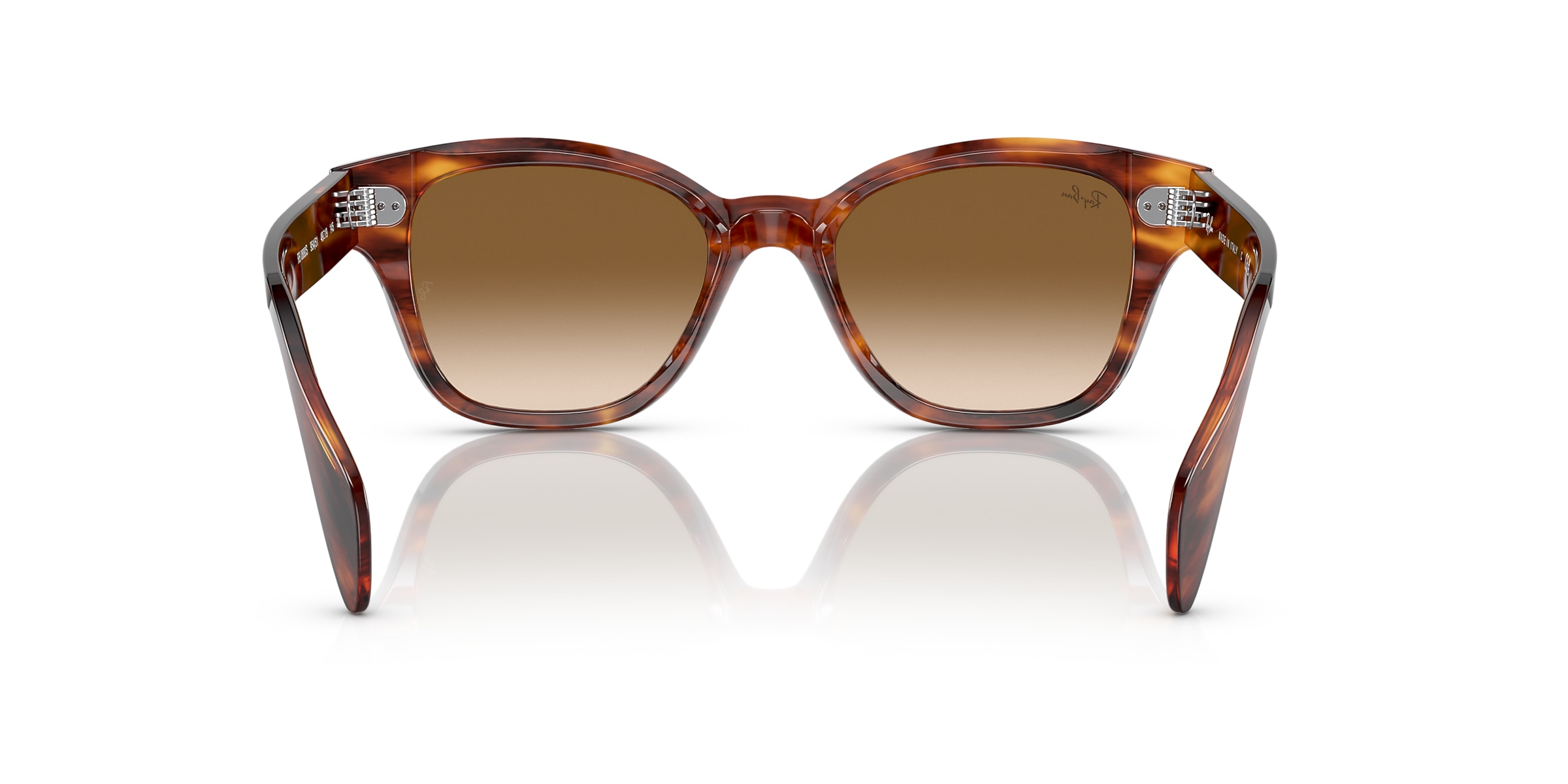 Ray-Ban Sunglasses RB0880S