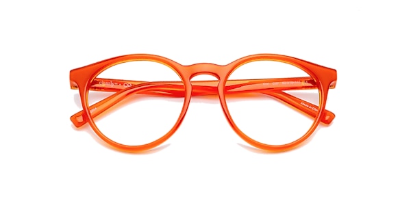 Clearly Glasses OWL